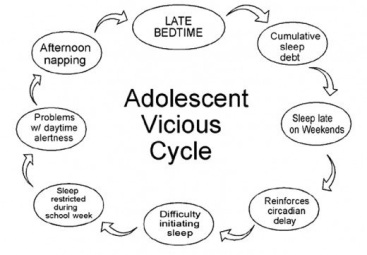 Sleep for the Adolescents