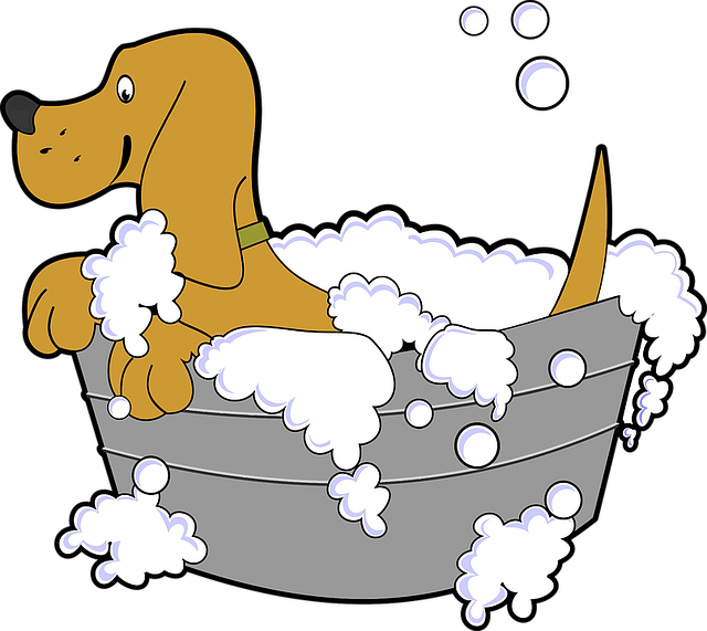 Is it Safe to Use Human Shampoo on Dogs