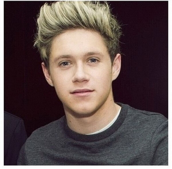 Niall James Horan - Top 10 Most Handsome Boys in the World