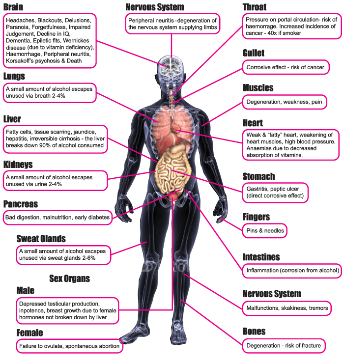 How much alcohol per day is good for health