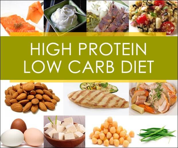 Start Consuming High Protein Diet tips on eating healthy and losing weight