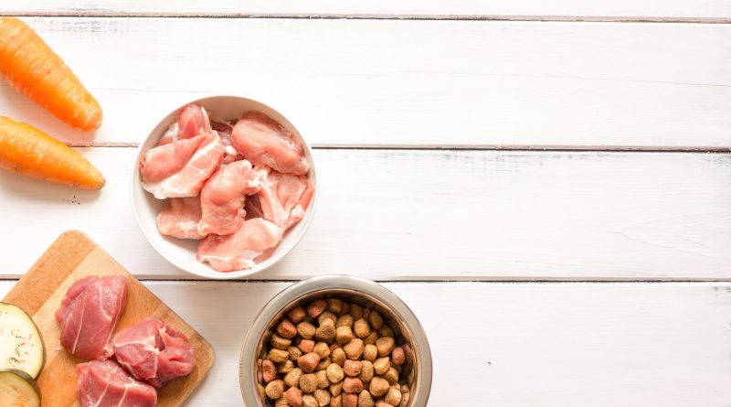 The Pros And Cons Of Organic Dog Food Get That Right