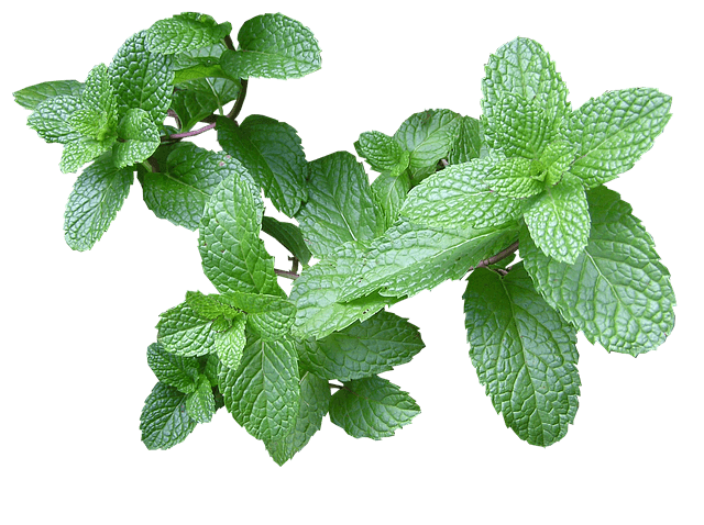 acne treatment at home