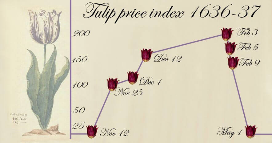 Tulip Mania