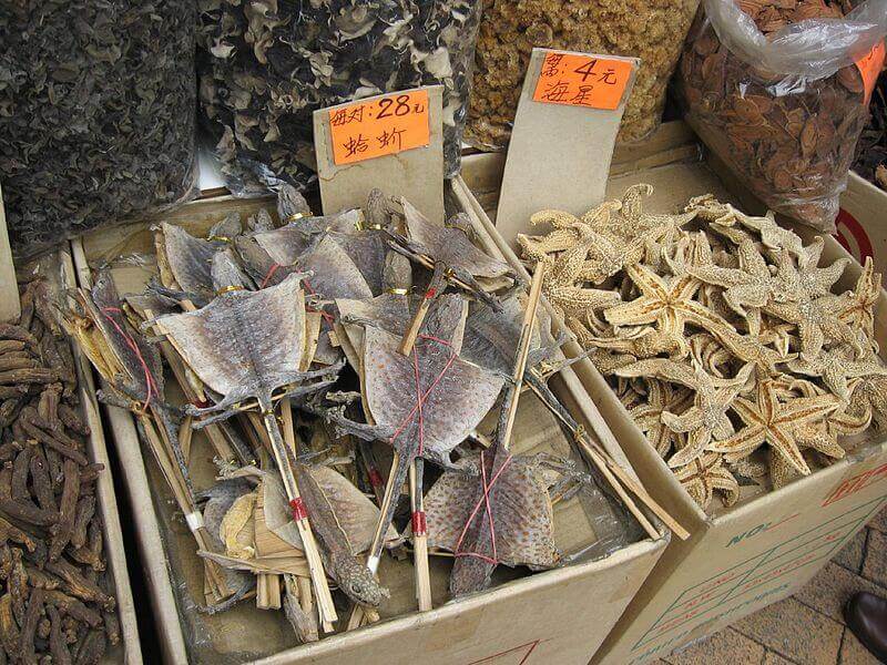 Dried Lizards