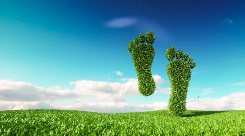 ways to reduce your carbon footprint