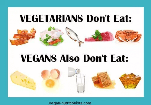 vegan and vegetarian difference